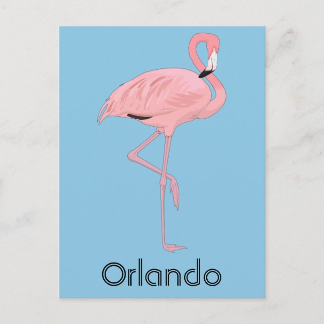Carte Postale Orlando Floride Flamant Rose (Devant)