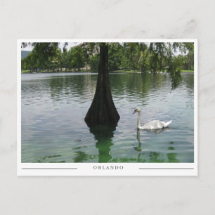 Carte Postale Orlando Swan - Lac Park en Floride
