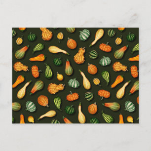 Carte Postale Ornamental Gourds for Autumn, affaire Thanksgiving