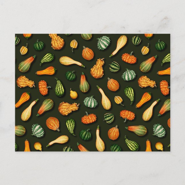 Carte Postale Ornamental Gourds for Autumn, affaire Thanksgiving (Devant)