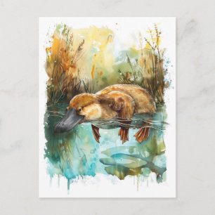 Carte Postale Ornithorynque à l'aquarelle nageant dans l'étang