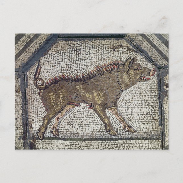 Carte Postale Orphée Charming Animaux (Devant)