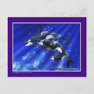 Carte Postale orques