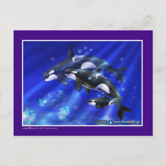 Carte Postale orques
