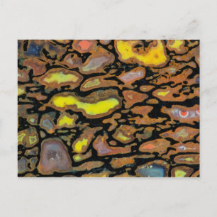 Carte Postale Os de dinosaure multicolore