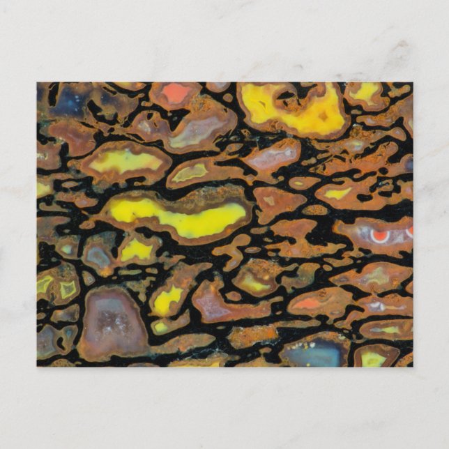 Carte Postale Os de dinosaure multicolore (Devant)