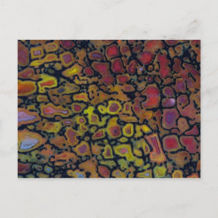 Carte Postale Os de dinosaure pétrifié arc-en-ciel