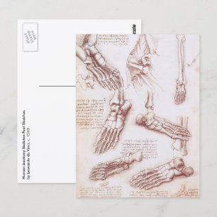 Carte Postale Os de pied de l'anatomie humaine par Leonardo da V