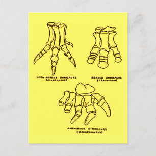 Carte Postale Os Pieds Dinosaur