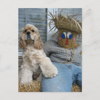 Carte Postale Oscar et Phil