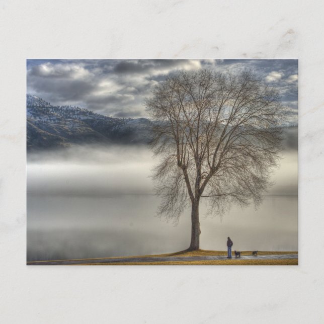 Carte Postale Osoyoos Walking the dog (Devant)