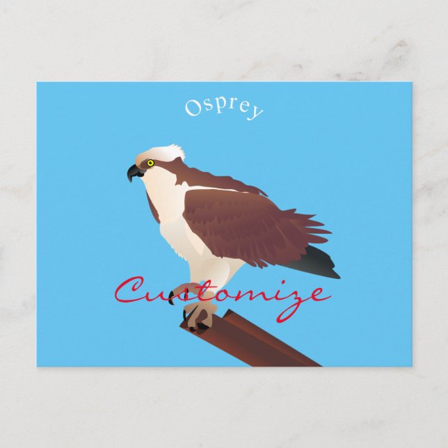 Carte Postale Osprey Hawk Raptor Thunder_Cove (Devant)