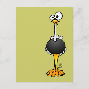 Carte Postale Ostrich