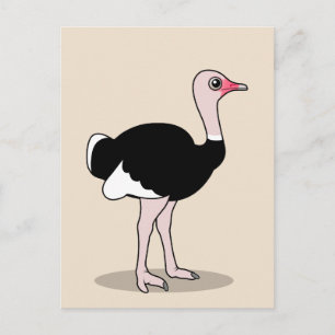 Carte Postale Ostrich
