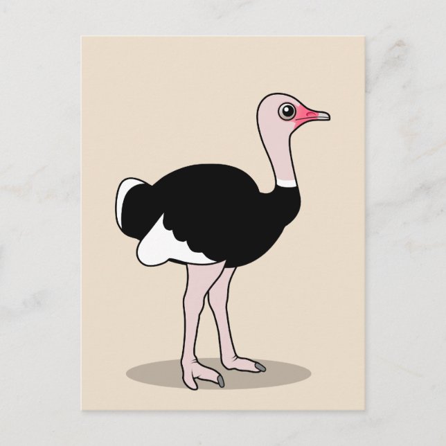 Carte Postale Ostrich (Devant)
