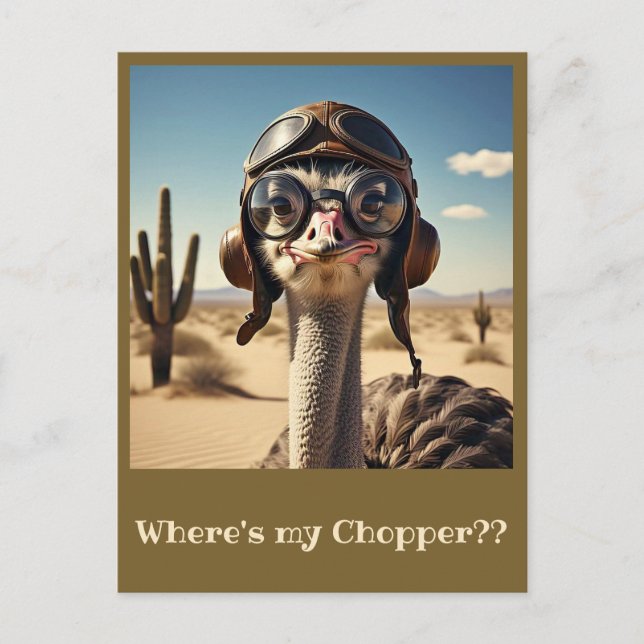 CARTE POSTALE " OSTRICH AVIATOR " (Devant)