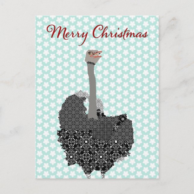 Carte postale Ostrich Blue Star Noël (Devant)