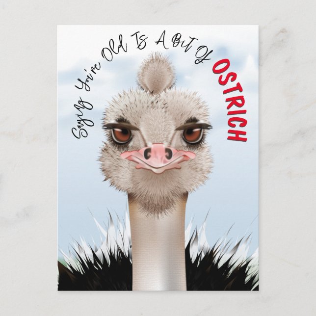 Carte Postale Ostrich Pun drôle Anniversaire (Devant)