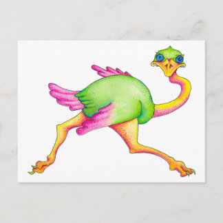Carte Postale Ostrich rare