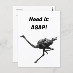 Carte Postale Ostrich Running Cool Athlète Art animal