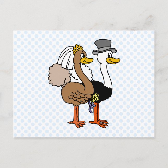 Carte Postale Ostrichs mariés (Devant)