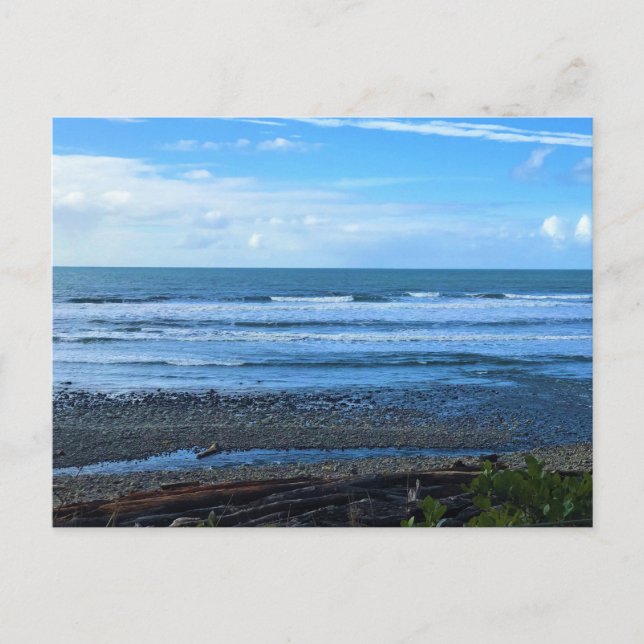 Carte Postale Oswald West State Park, Oregon (Devant)