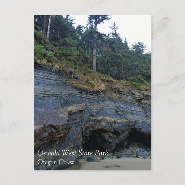 Carte Postale Oswald West State Park, Oregon Coast (Devant)