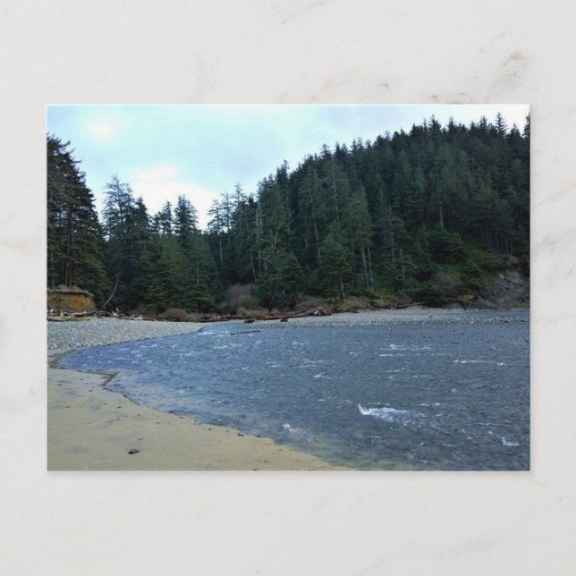 Carte Postale Oswald West State Park, Oregon Coast (Devant)