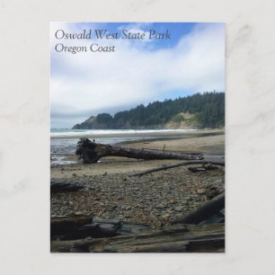 Carte Postale Oswald West State Park, Oregon Coast