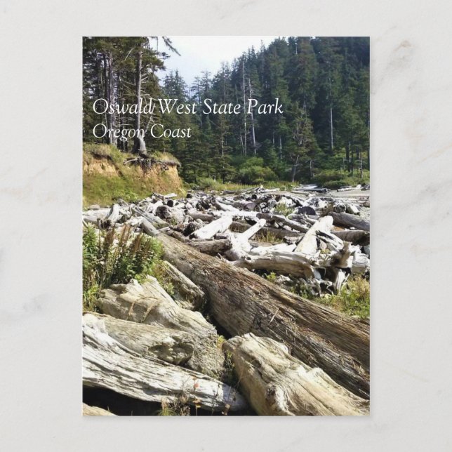 Carte Postale Oswald West State Park, Oregon Coast (Devant)