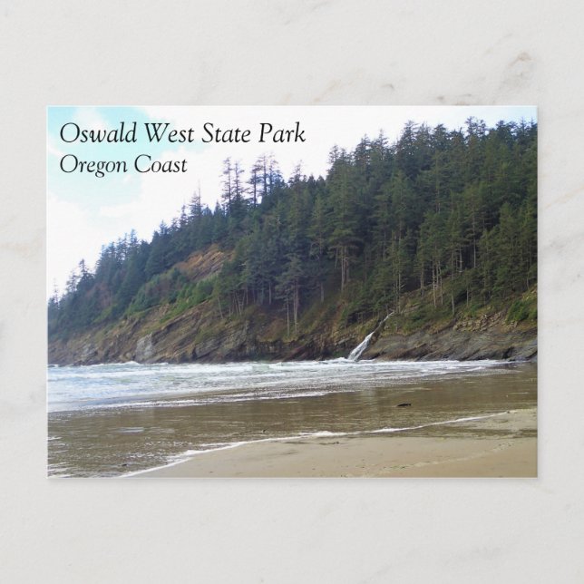 Carte Postale Oswald West State Park, Oregon Coast (Devant)