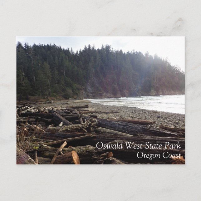 Carte Postale Oswald West State Park, Oregon Coast (Devant)