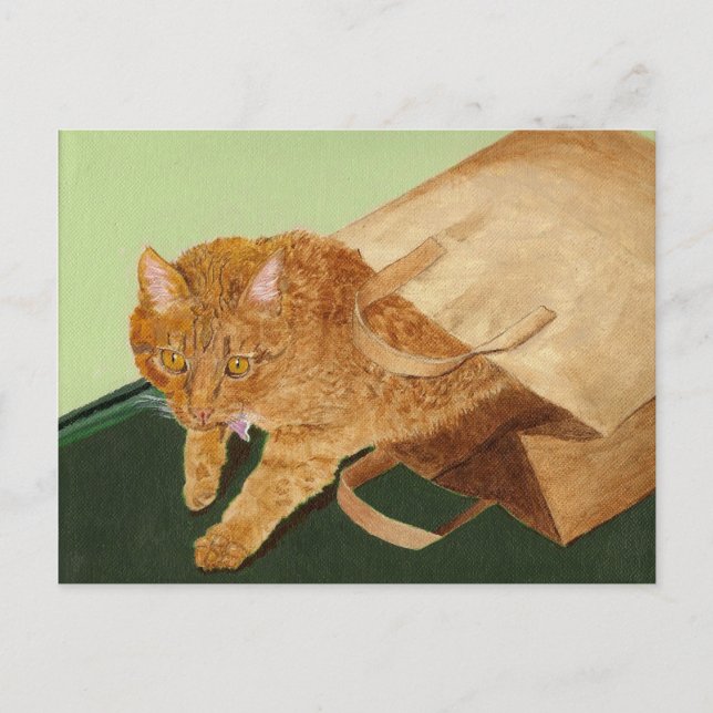 Carte Postale Otis le chat (Devant)