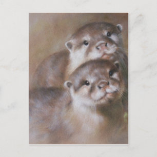 Carte Postale Otter
