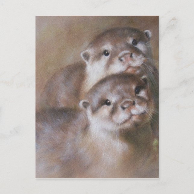 Carte Postale Otter (Devant)