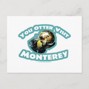 Carte Postale Otter visite Monterey
