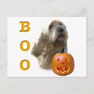 Carte Postale Otterhound Boo