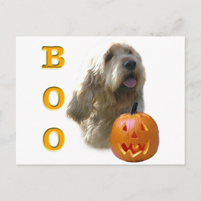 Carte Postale Otterhound Boo (Devant)