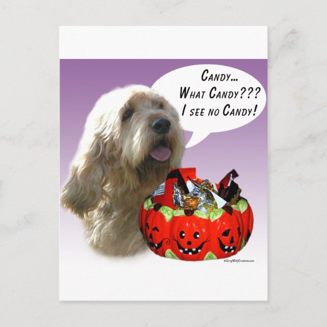Carte Postale Otterhound Halloween Candy (Devant)