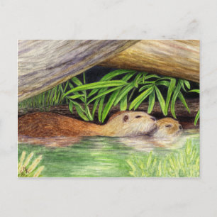 Carte Postale Otters Flottants Wildlife Art