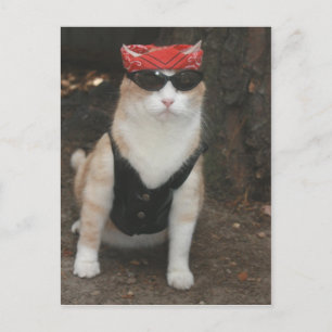 Carte Postale Où est mon porc ?