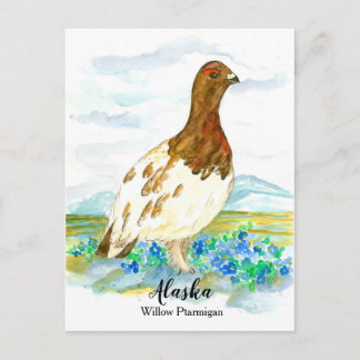 Carte Postale Oubliez-moi pas Ptarmigan État de l'Alaska