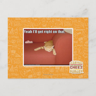 Carte Postale Oui, j'y vais.