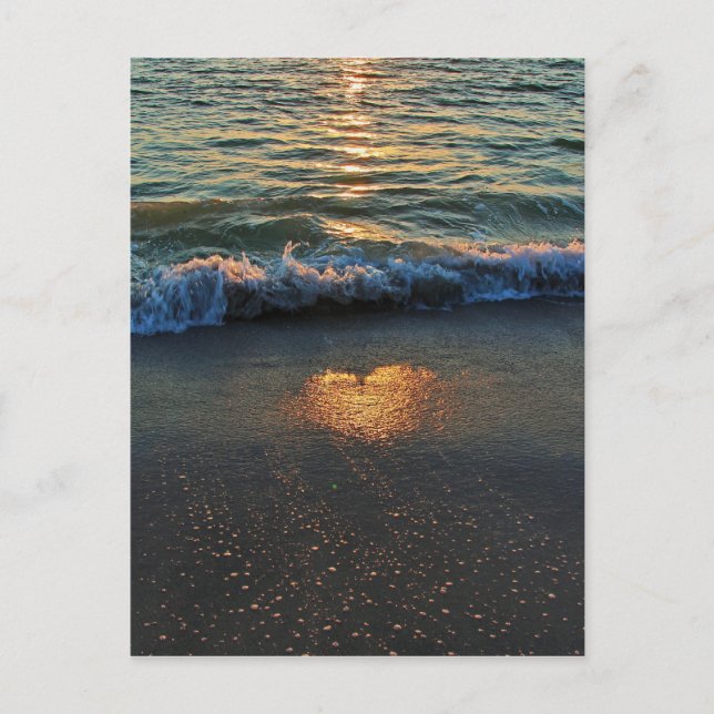 Carte Postale Oui, l'océan connaît (Devant)