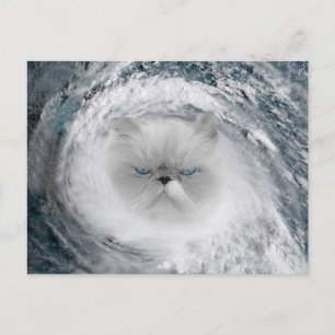 Carte Postale Ouragan Cat 5