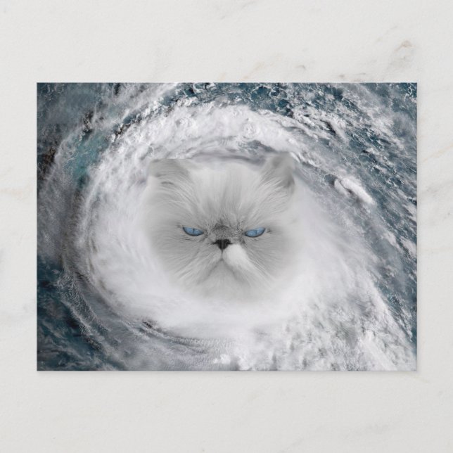 Carte Postale Ouragan Cat 5 (Devant)