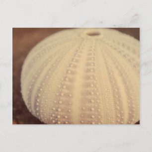 Carte Postale Ourchine