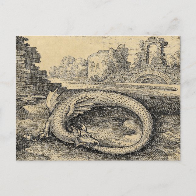 Carte Postale Ouroboros Dragon Biting c'est Propre Queue (Devant)