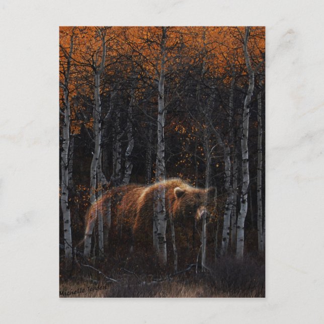 Carte Postale Ours 3 (Devant)