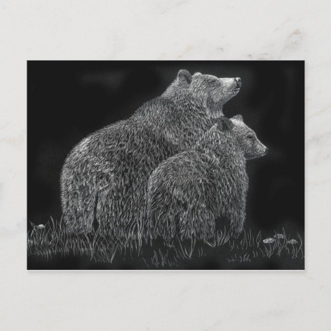 Carte Postale Ours Animal Scratchboard Black and White Art (Devant)